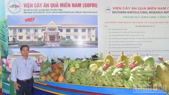 Triển lãm trái cây của Viện cây ăn quả miền nam tại lễ hội.