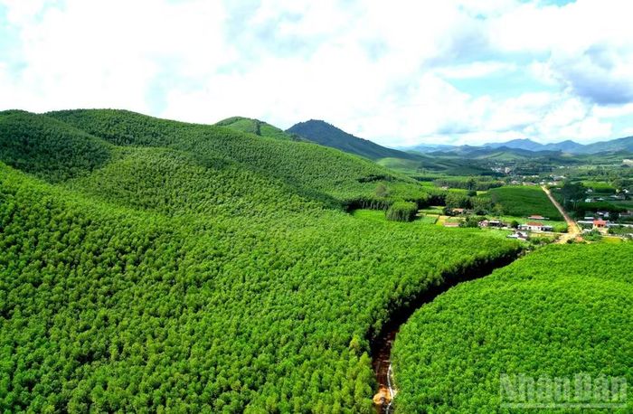 Nghệ An là tỉnh có diện tích tự nhiên lớn, địa hình đa dạng, vừa có biển, đồng bằng, trung du và miền núi.