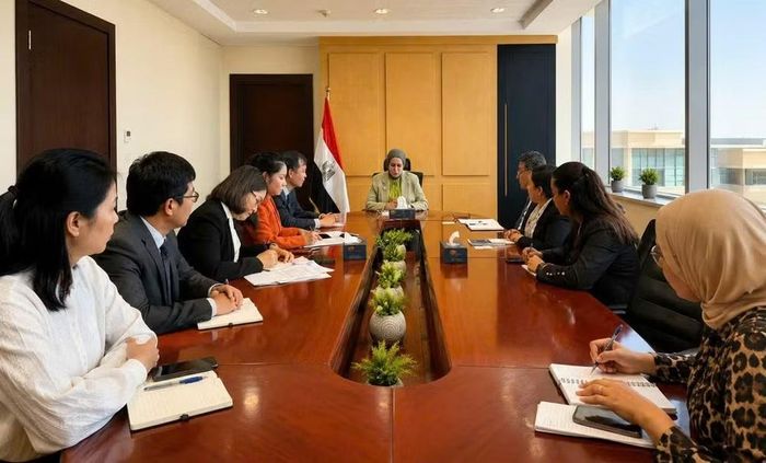 Quang cảnh buổi làm việc. (Ảnh do Đại sứ quán Việt Nam tại Ai Cập cung cấp)