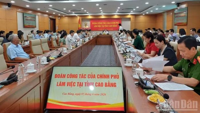 Quang cảnh buổi làm việc.