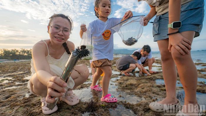 Ngoài ra còn có cầu gai và một số loại tôm, cua nhỏ.