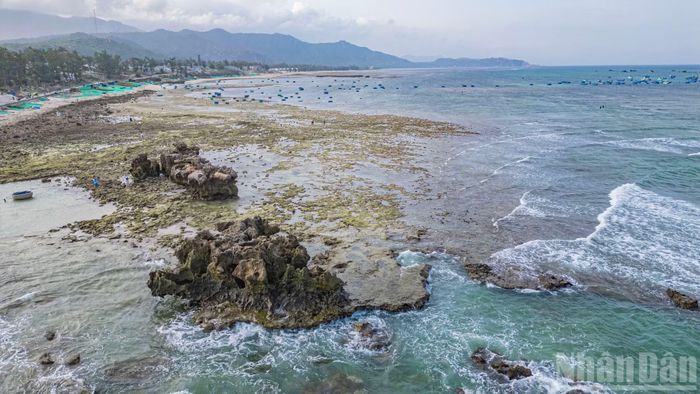 Khi nắng chiều khiến những khối đá triệu năm tuổi trở nên kỳ vĩ và đầy quyến rũ.