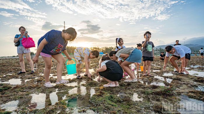 Đây là nơi rất phù hợp để em vừa có trải nghiệm tắm mát lại vừa thu hoạch hải sản như người dân làng chài thực thụ.