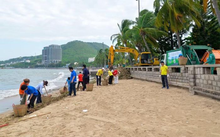 Chung tay dọn dẹp lục bình ở Bãi trước.
