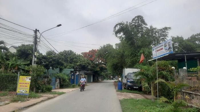 Cù lao Bạch Đằng đang chuyển mình theo hướng phát triển xanh, thông minh và bền vững.