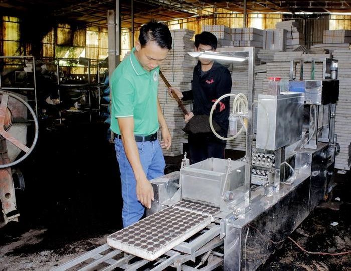 Hệ thống máy gieo hạt và vườn ươm hiện đại giúp HTX Châu Pha giảm chi phí nhân công, nâng cao hiệu quả sản xuất.