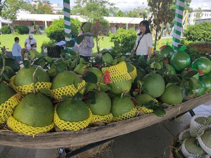 Nhiều loại trái cây đặc sản của địa phương được trưng bày tại lễ hội
