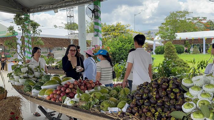  Đông đảo người dân đến tham quan lễ hội 