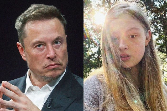Vivian từng tuyên bố không còn liên quan đến Elon Musk.