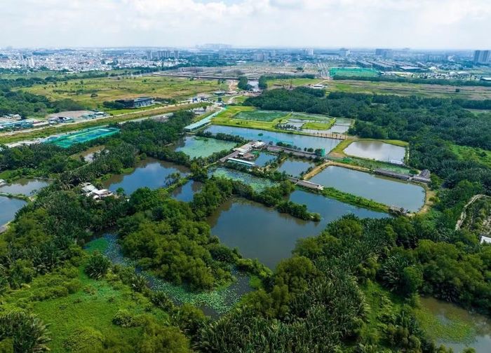 Đến ngày 30/10, TPHCM phải hoàn thành bàn giao quỹ đất đã thu hồi cho nhà đầu tư.