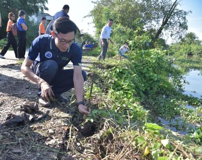 PGS.TS Diệp Thanh Tùng, Phó giám đốc Đại học Trà Vinh tham gia trồng bần tại xã Tân Lược.