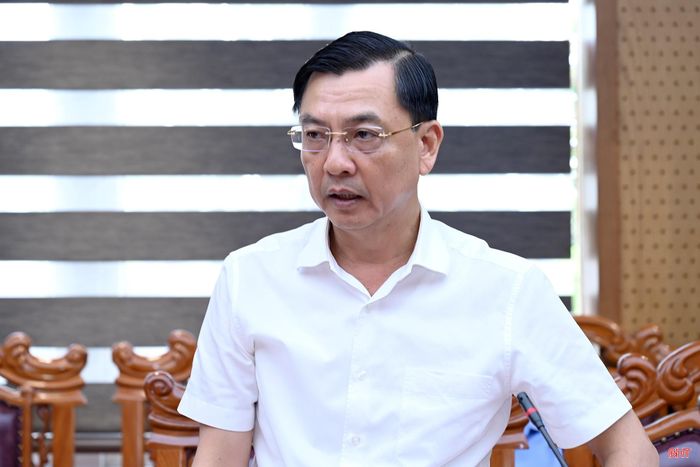 Đồng chí Trần Việt Hà - Ủy viên BTV Tỉnh ủy, Trưởng ban Quản lý Khu kinh tế tỉnh phát biểu tại hội nghị.