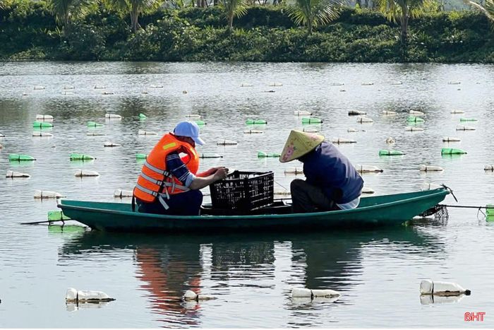 Dự án “Ứng dụng tiến bộ khoa học và công nghệ xây dựng mô hình chọn con giống và nuôi trai nước ngọt lấy ngọc tại TP Hà Tĩnh” (Ảnh: Trung tâm Khuyến nông Hà Tĩnh cung cấp).