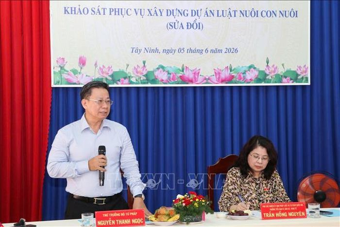 Thứ trưởng Bộ Tư pháp Nguyễn Thanh Ngọc phát biểu tại buổi làm việc.