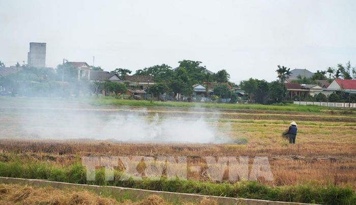 Việc đốt rơm rạ tại các khu vực gần trục đường giao thông khiến khói bụi làm giảm tầm nhìn của người tham gia giao thông. Ảnh: Tường Vi – TTXVN 