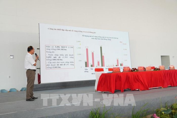 Đại diện Chi cục trồng trọt và Bảo vệ thực vật tỉnh Đồng Tháp tham luận tại Hội thảo. Ảnh: Công Trí-TTXVN