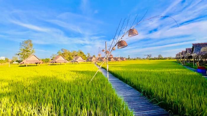 Thức dậy trong khung cảnh thế này quả là điều ai cũng yêu thích.