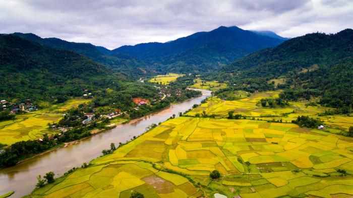 "Thung lũng vàng" ở miền Tây Nghệ An. Ảnh: báo Nghệ An.