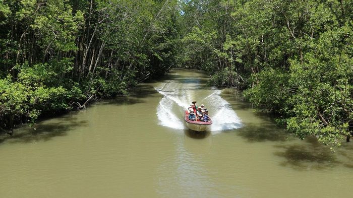 Cần Giờ mang trong mình giá trị sinh thái hiếm có ngay cạnh một siêu đô thị.