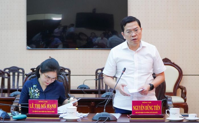Phó Chủ nhiệm Văn phòng Chủ tịch nước, Phó trưởng Đoàn Kiểm tra, giám sát số 29 Nguyễn Dũng Tiến phát biểu tại buổi làm việc.