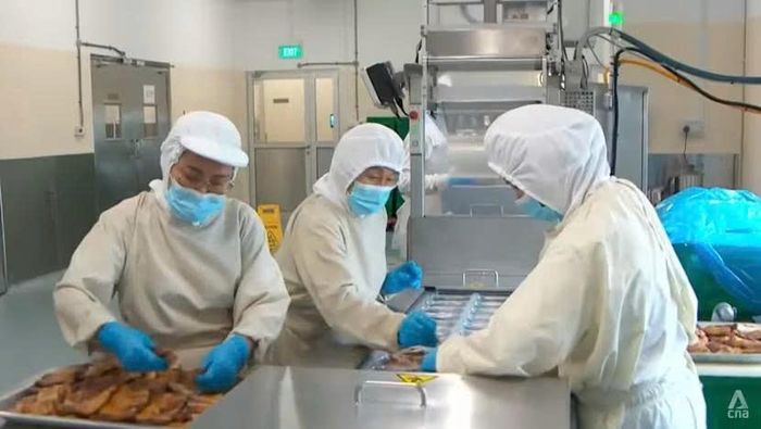 Người cao tuổi tại Singapore tham gia thị trường việc làm. Ảnh: CNA