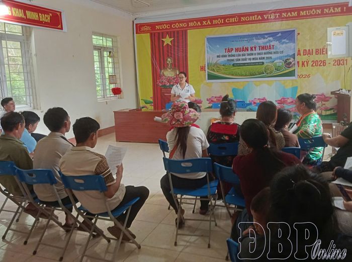 Khuyến nông viên Trung tâm Dịch vụ tổng hợp xã Na Sang hướng dẫn người dân bản Hồ Chim 2 hiểu về đặc tính giống lúa Đài Thơm 8.