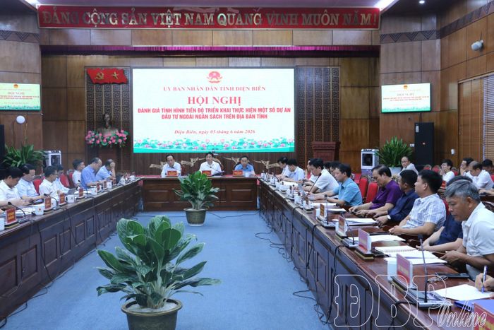Các đại biểu tham dự hội nghị.