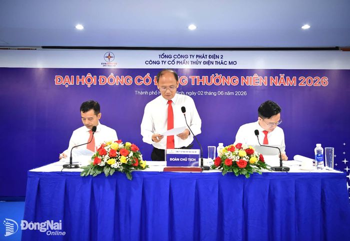 Đoàn Chủ tịch TMP. Ảnh: Mỹ Phương
