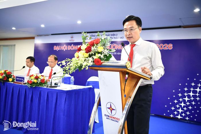 Ông Nguyễn Lê Hoàng - Thành viên HĐQT kiêm Tổng giám đốc TMP trình bày báo cáo tại Đại hội. Ảnh: Mỹ Phương