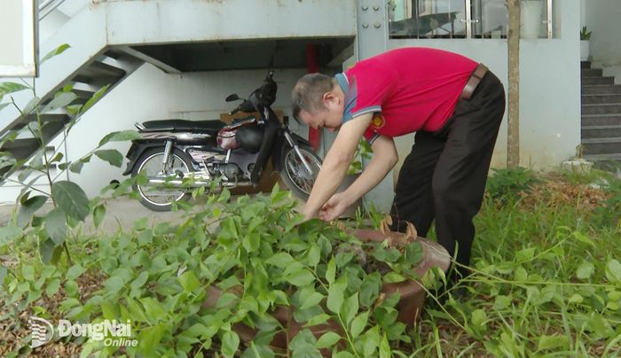Cán bộ, công chức, người lao động Ban Tuyên giáo và Dân vận Thành ủy, Ban Nội chính Thành ủy dọn vệ sinh xung quanh trụ sở. Ảnh: Văn Đoàn