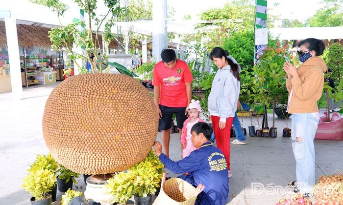 Mô hình nghệ thuật được kết tỉ mỉ từ trái nhãn phục vụ trưng bày tại Lễ hội. 