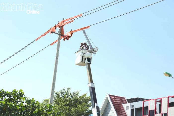 Thi công thay sứ đỡ đường dây 22kV đang mang điện.