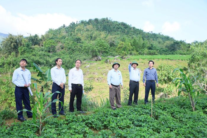 Bí thư Tỉnh ủy Lê Minh Ngân kiểm tra quy hoạch phát triển nông nghiệp gắn với du lịch trên địa bàn phường Tân Phong.