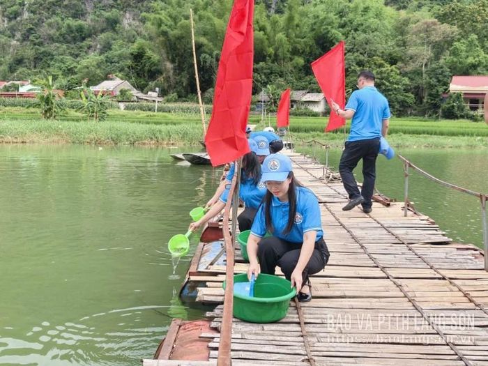 Các đại biểu thả cá giống để tái tạo nguồn lợi thủy sản