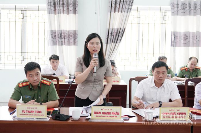 Đồng chí Trần Thanh Nhàn, Phó Chủ tịch UBND tỉnh phát biểu tại buổi làm việc
