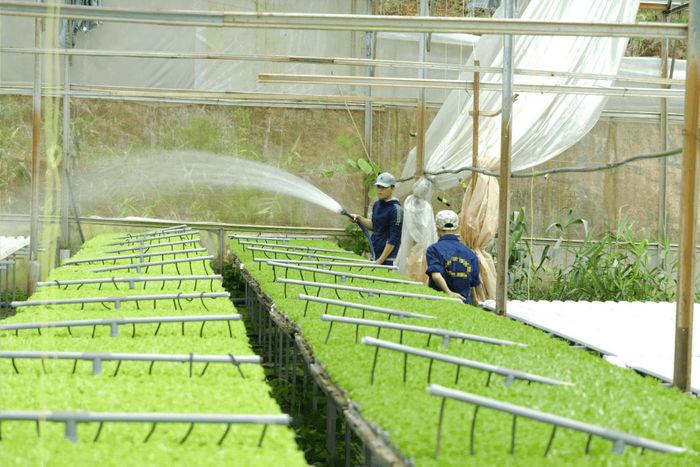 Ngành nông nghiệp tỉnh Lâm Đồng chuyển đổi mạnh mẽ từ phương thức truyền thống sang hiện đại dựa trên nền tảng khoa học - công nghệ