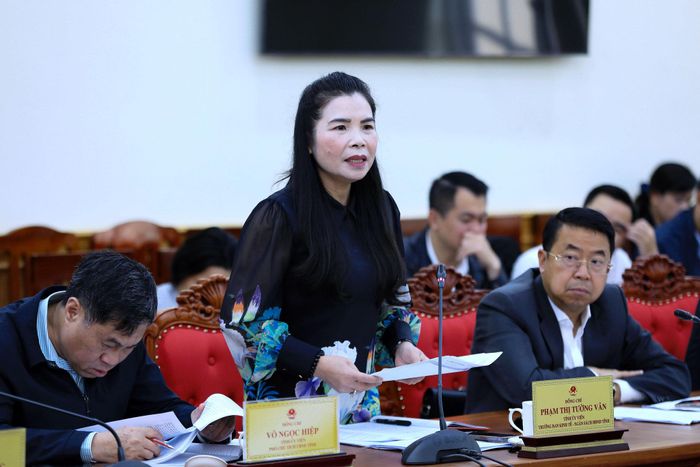 Tỉnh ủy viên, Trưởng Ban Kinh tế - Ngân sách HĐND tỉnh Phạm Thị Tường Vân đề nghị kiểm soát chặt việc phân bổ vốn cho cấp xã