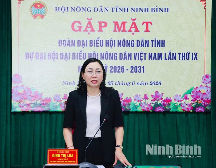 Đồng chí Đinh Thị Lụa, Phó Bí thư Tỉnh ủy, Chủ tịch Ủy ban MTTQ Việt Nam tỉnh phát biểu tại buổi gặp mặt.