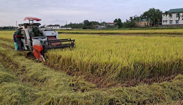 Triệu Phong đẩy mạnh cơ giới hóa vào sản xuất nông nghiệp - Ảnh: N.V