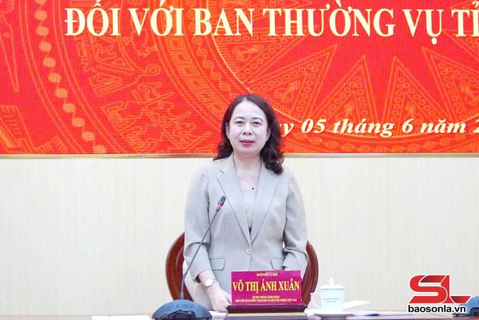 Đồng chí Võ Thị Ánh Xuân, Bí thư Trung ương Đảng, Phó Chủ tịch nước, Trưởng Đoàn kiểm tra, giám sát số 29, phát biểu tại hội nghị.