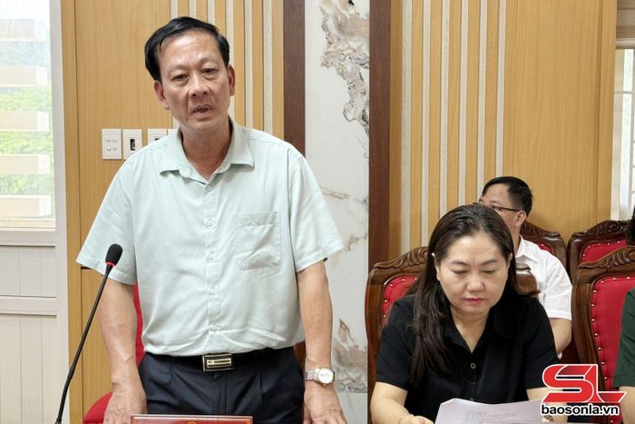 Đại diện Lãnh đạo Hiệp hội Du lịch tỉnh phát biểu tại cuộc làm việc.