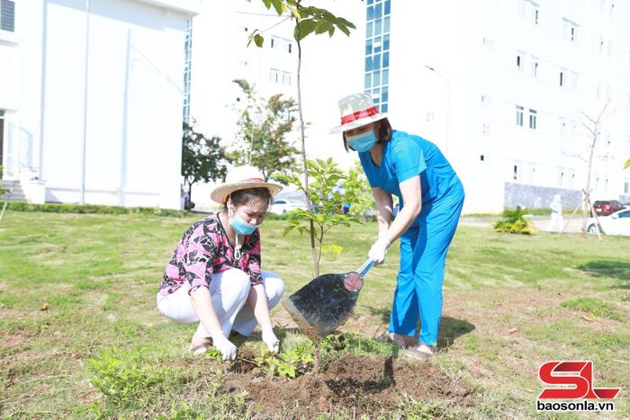 Trồng cây tại khuôn viên bệnh viện.