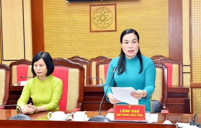 Đồng chí Chu Thị Ngọc Diệp, Chủ tịch Hội Nông dân tỉnh báo cáo tại gặp mặt.
