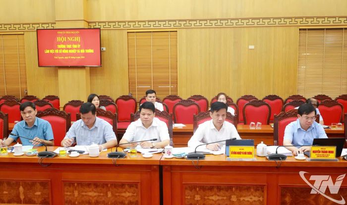 Các đại biểu dự Hội nghị.