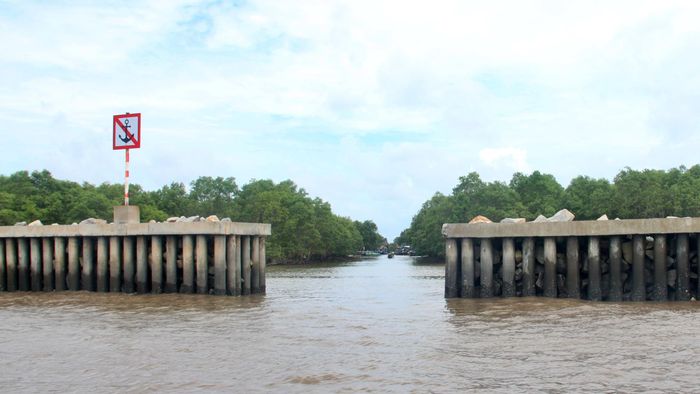 Để bảo vệ an toàn tính mạng, tài sản của nhân dân cũng như các công trình của Nhà nước tại các đoạn bờ biển xung yếu nói trên, Sở Nông nghiệp và Môi trường tỉnh Cà Mau phối hợp với các địa phương triển khai đồng bộ nhóm giải pháp phi công trình lẫn công trình.