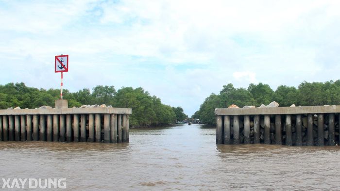 Để bảo vệ an toàn tính mạng, tài sản của nhân dân cũng như các công trình của Nhà nước tại các đoạn bờ biển xung yếu nói trên, Sở Nông nghiệp và Môi trường tỉnh Cà Mau phối hợp với các địa phương triển khai đồng bộ nhóm giải pháp phi công trình lẫn công trình.