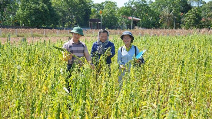  Kết quả kiểm tra, nhiệm vụ được triển khai nghiêm túc, đúng tiến độ, cơ bản đáp ứng yêu cầu chuyên môn 