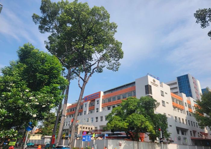 Cây xanh lâu năm trước Bệnh viện Hùng Vương. Ảnh: Quang Phương