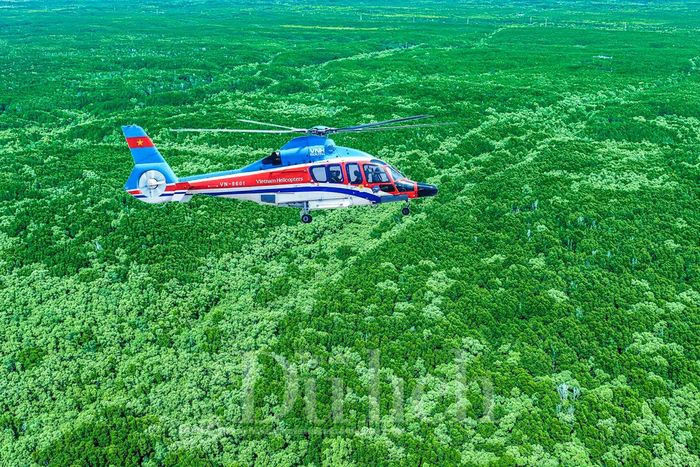 Phát triển kinh tế đêm Cần Giờ phải bảo tồn nghiêm ngặt, kiểm soát tiếng ồn, ánh sáng để không ảnh hưởng Khu Dự trữ sinh quyển và rừng ngập mặn đặc thù.