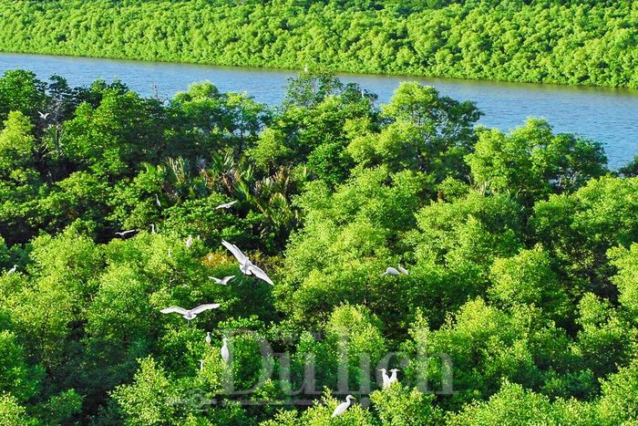 Cần đặt trong mối quan hệ hài hòa giữa tăng trưởng kinh tế với bảo tồn hệ sinh thái rừng ngập mặn, tài nguyên biển và các giá trị văn hóa bản địa.